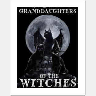 Cat  Witch We're The Granddaughters Of The Witches Posters and Art